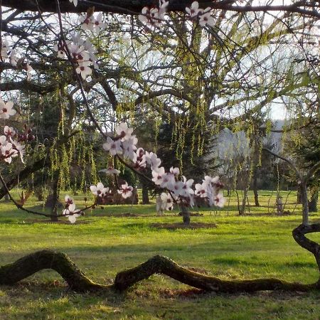Domaine Berenguer Bed & Breakfast Ouches ภายนอก รูปภาพ