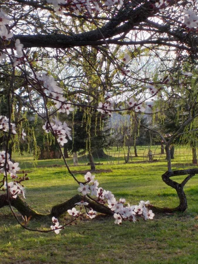 Domaine Berenguer Bed & Breakfast Ouches ภายนอก รูปภาพ