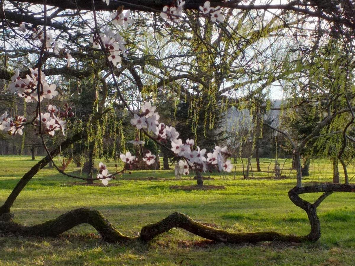 Domaine Berenguer Bed & Breakfast Ouches ภายนอก รูปภาพ